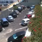 Osos