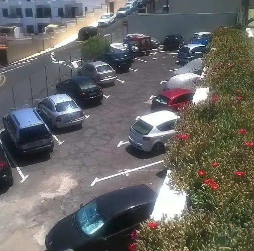 Osos
